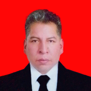 Ernesto Alvarez Llanos