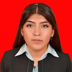 Ruth Aracely Fernandez Vargas